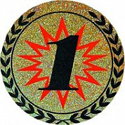 Вкладыш d-25 мм 1 место галограмма