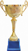 Кубок 594 A h-57 см d-200 мм
