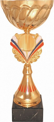 Кубок 507 B h-35.5 см d -140 металл